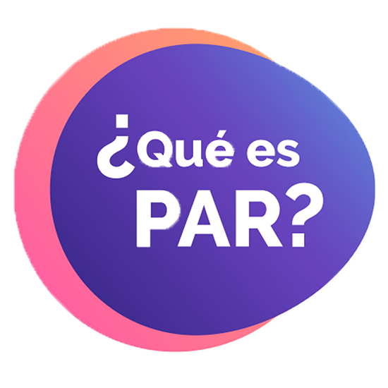 Programa de Aprendizaje Reflexivo